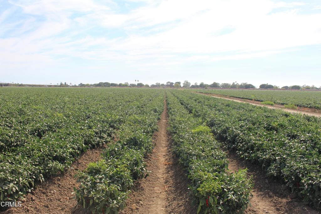 Not Applicable - Land