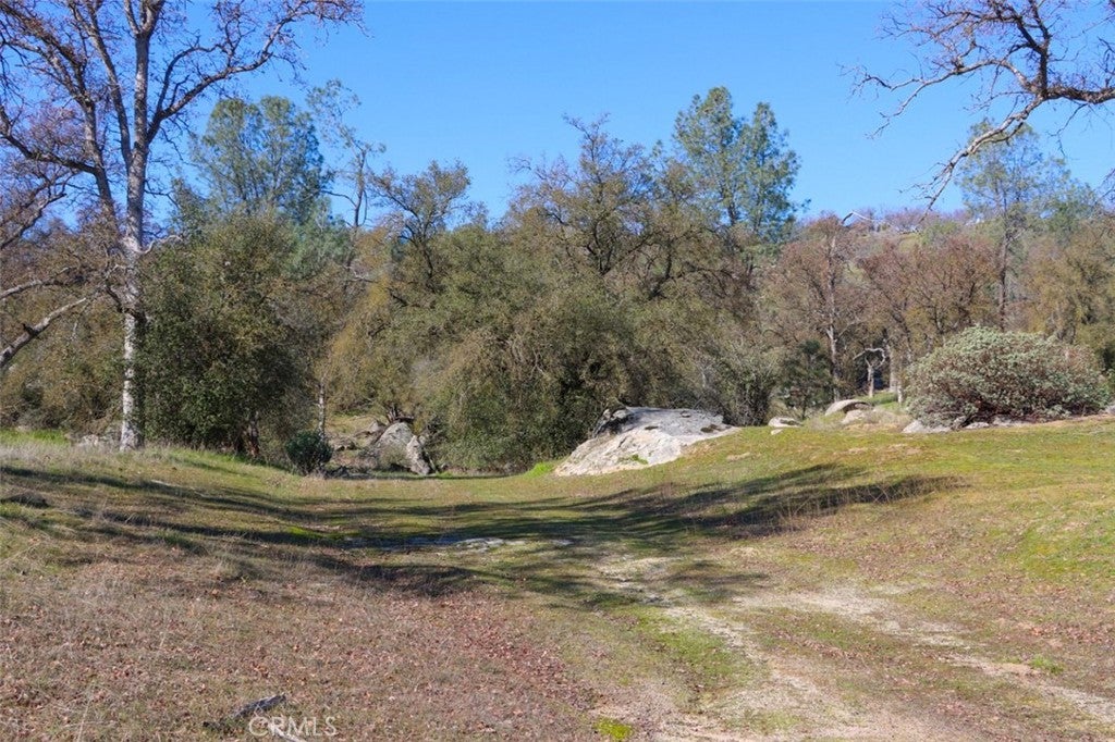 0 6.48 AC Long Hollow Drive