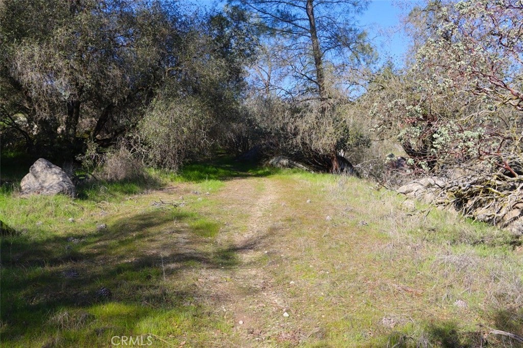 0 6.48 AC Long Hollow Drive