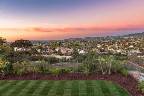 1619 N Willowspring Drive Encinitas CA 92024