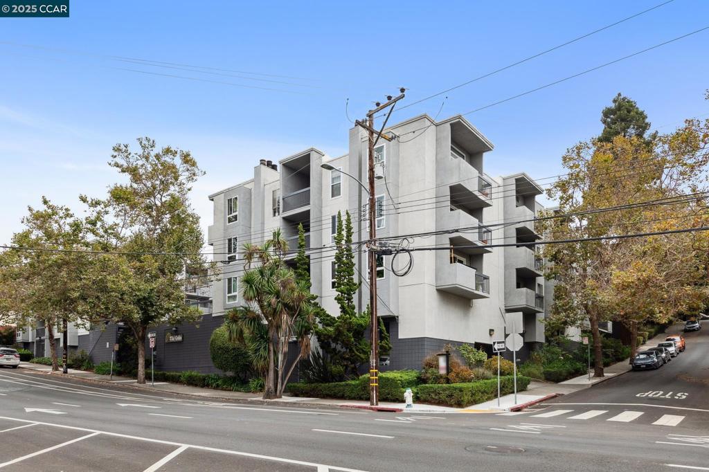 ADAMS POINT - Residential