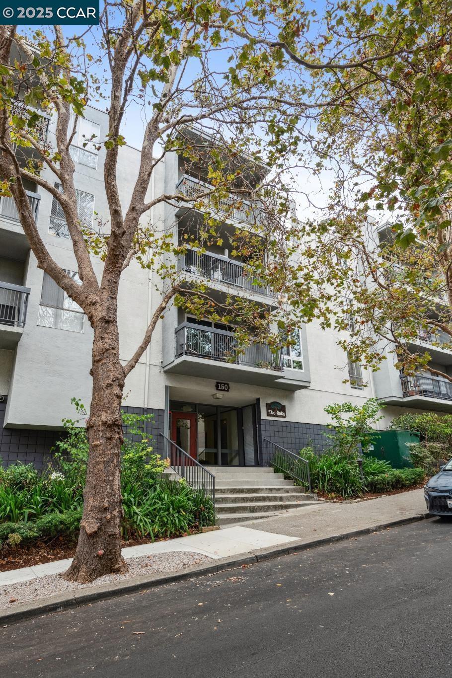 ADAMS POINT - Residential