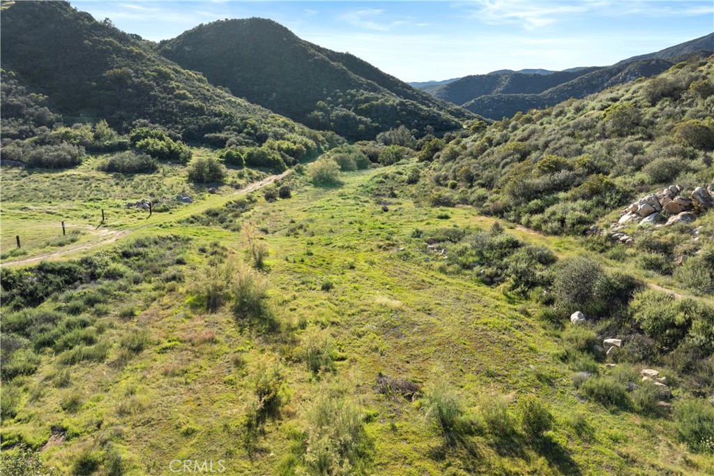 38355 Vista Del Bosque