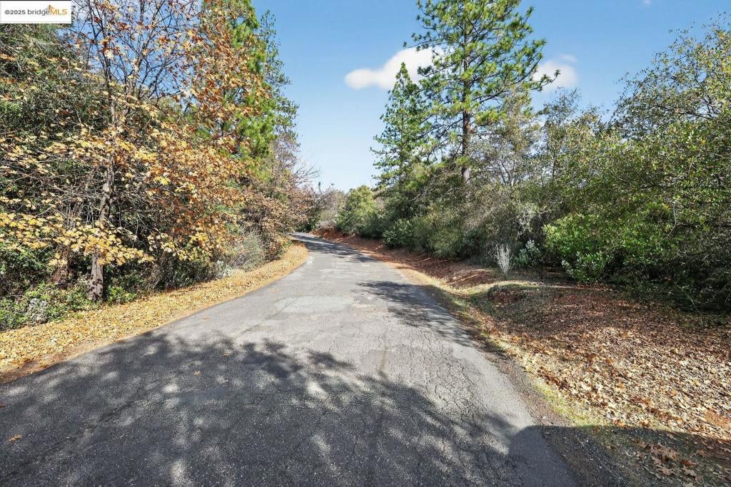4544 Sheep Ranch RD