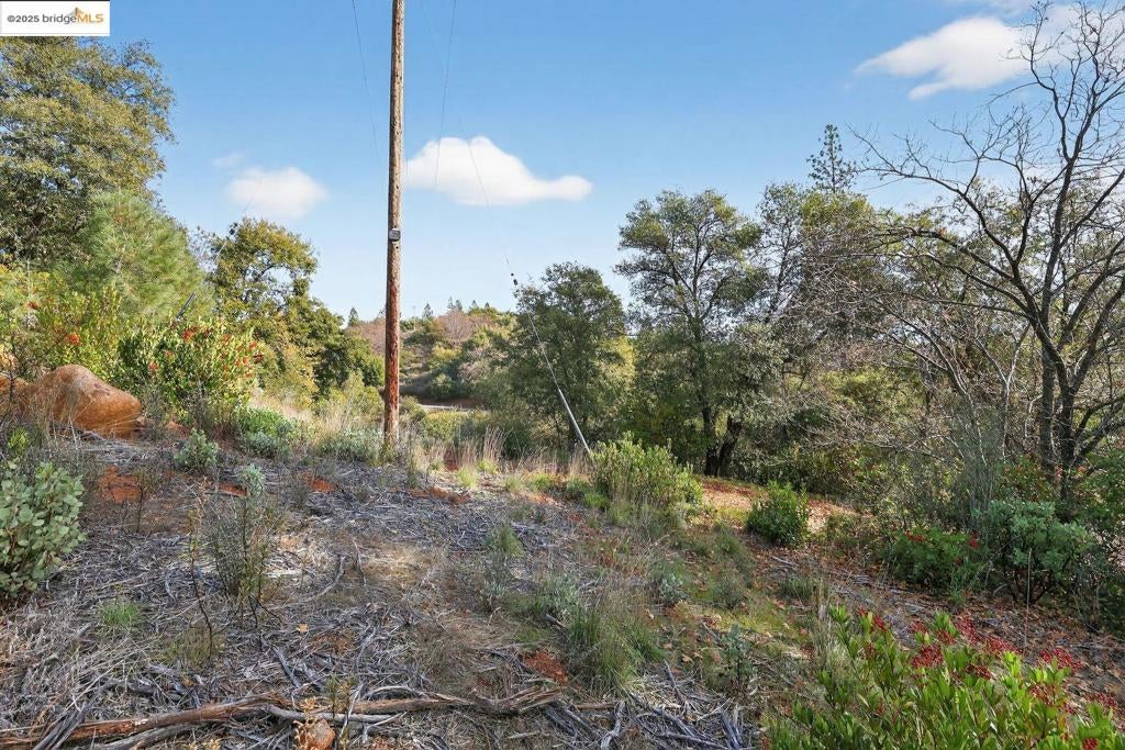 4544 Sheep Ranch RD