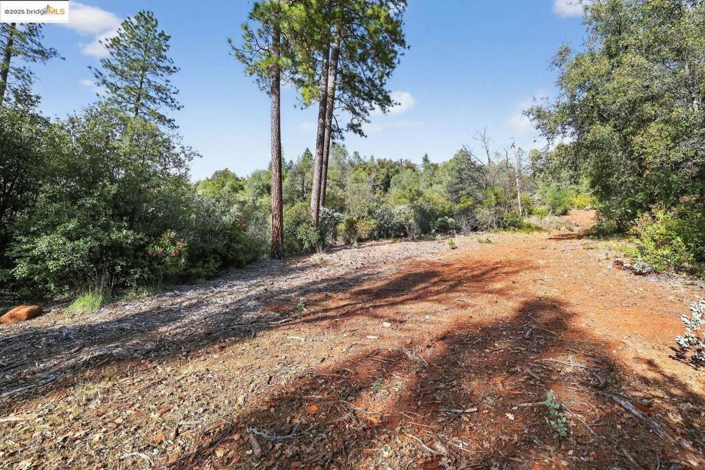 4544 Sheep Ranch RD