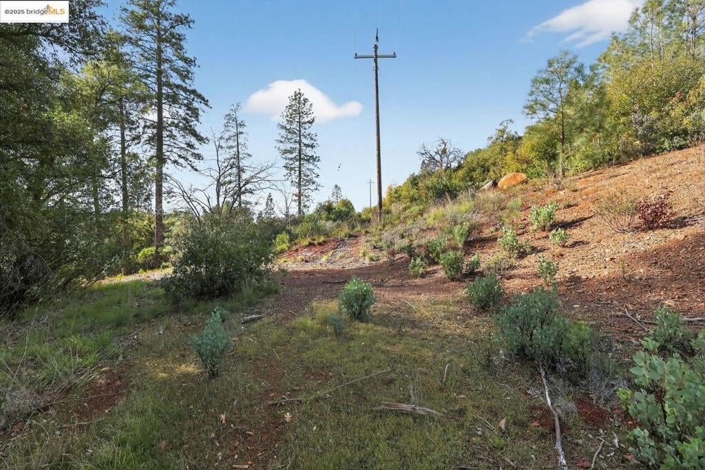4544 Sheep Ranch RD