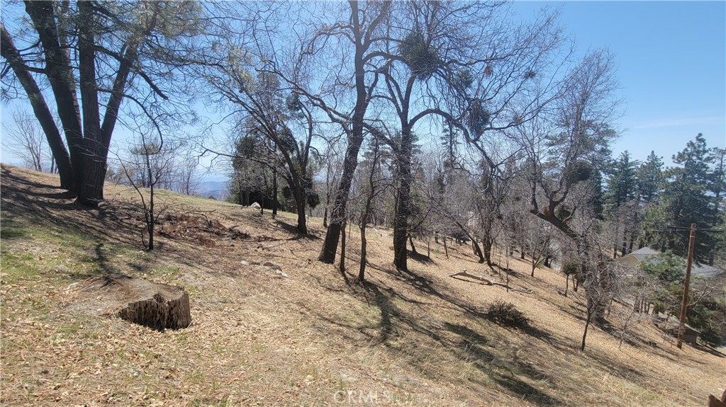 Smiley Park (SMPK) - Land