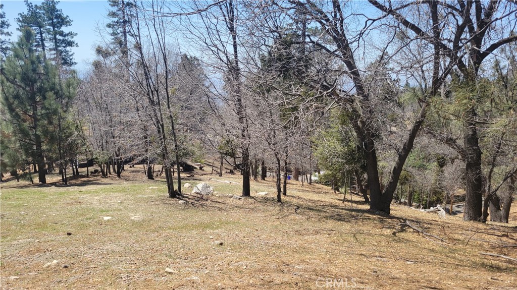 Smiley Park (SMPK) - Land