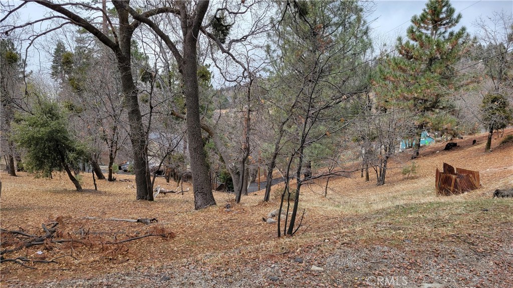 Smiley Park (SMPK) - Land