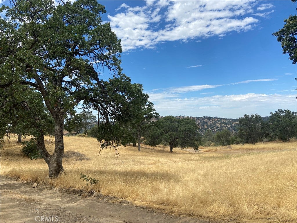 0 Hogans Mountain RD