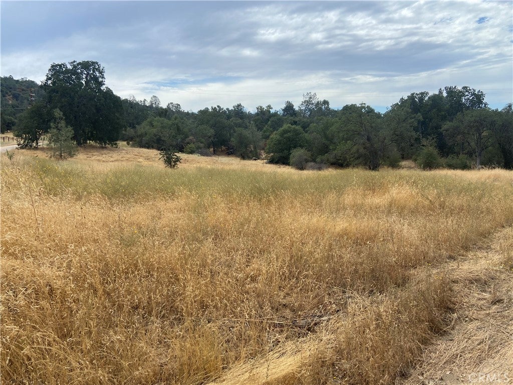 0 Hogans Mountain RD