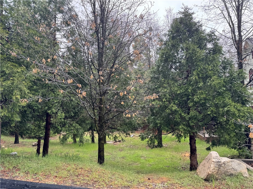 Arrowhead Woods (AWHW) - Land