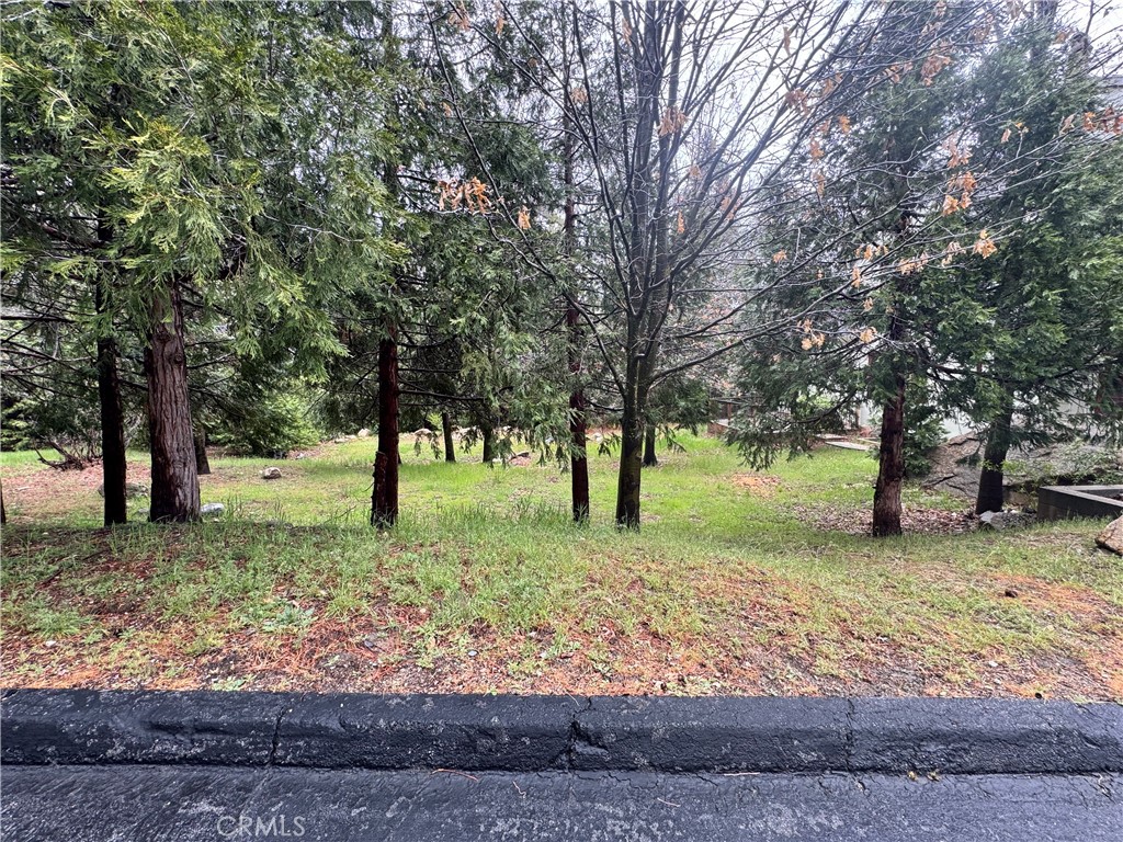 Ready to live the ultimate Lake Life? Build your Dream Home in the beautiful Meadow Shores gated community of Lake Arrowhead. This very buildable lot is only 4 properties off the lake and a short stroll away from the available boat dock slip (lot must be developed in order to use the boat slip)! The last few available vacant lots in Meadow Shores are going quickly and docks within the gated community may not be easy to find. Call now and build your dream!