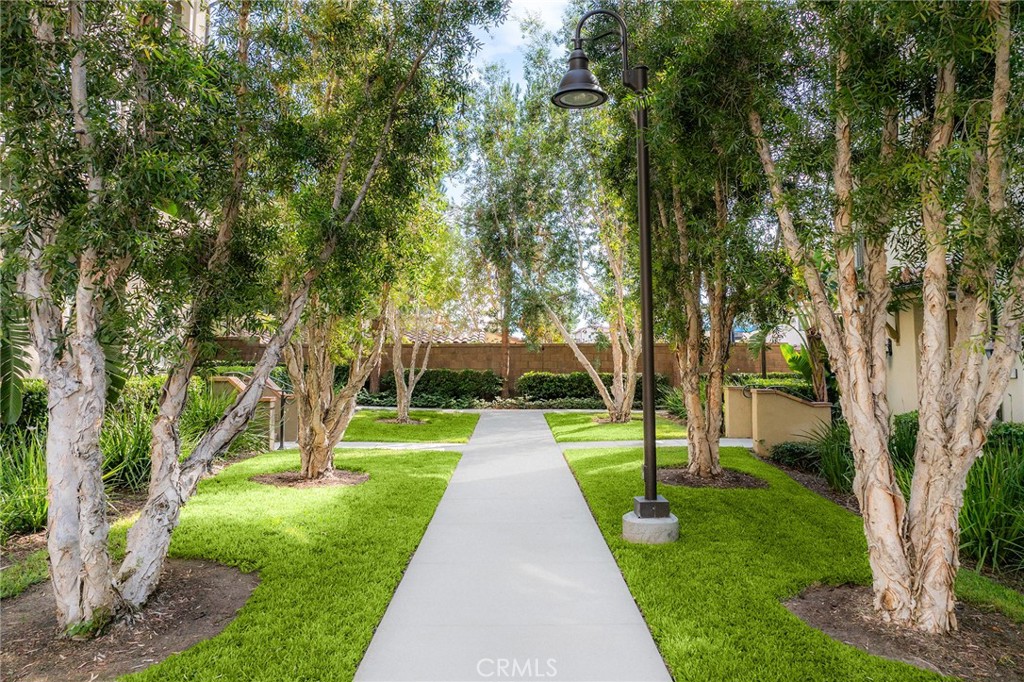 Willow - Residential