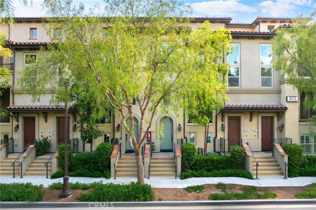 Willow - Residential