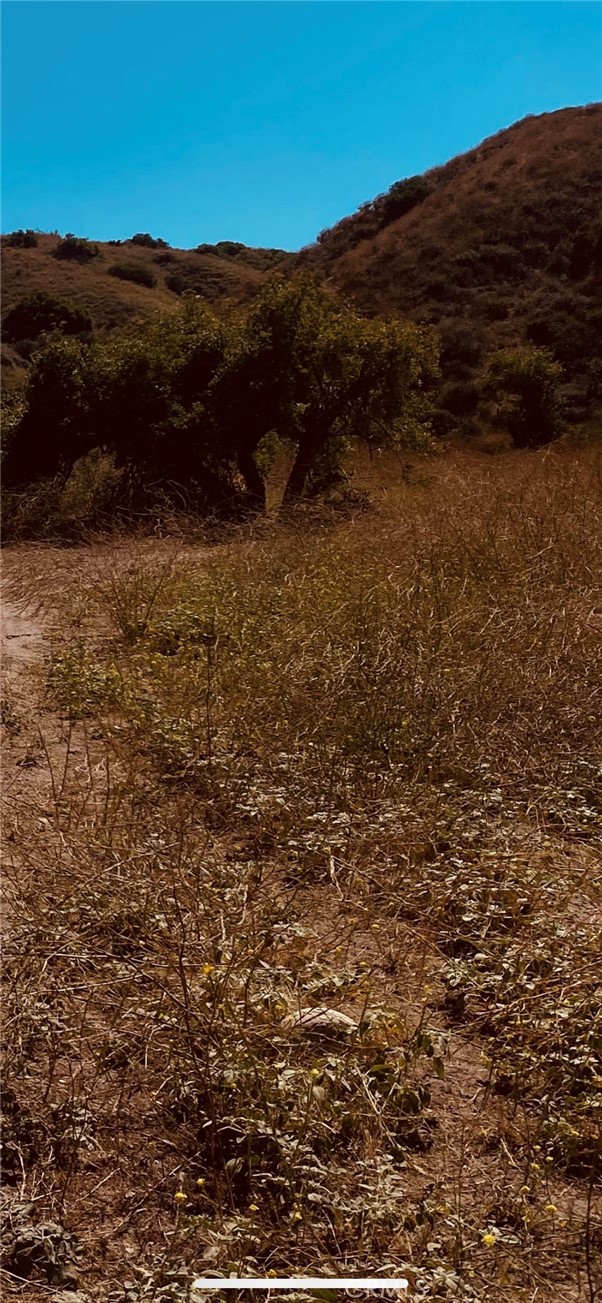 Affordable parcel of land close to Highway 138, good location and good investment for future area growth. Buyer to further investigate the buildability and feasibility of the parcel use. Consult city planning and/or building and safety