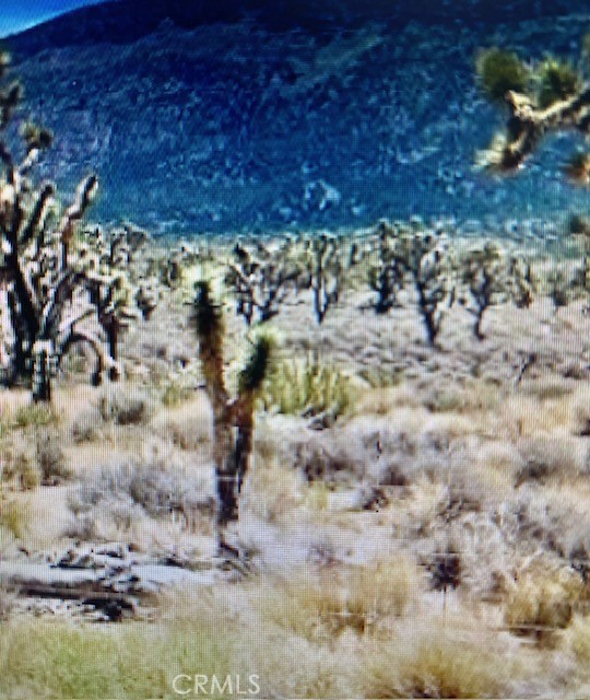 8 Bobs Gap Road