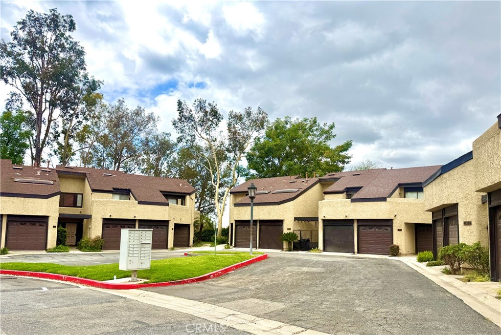 3613 Redwood