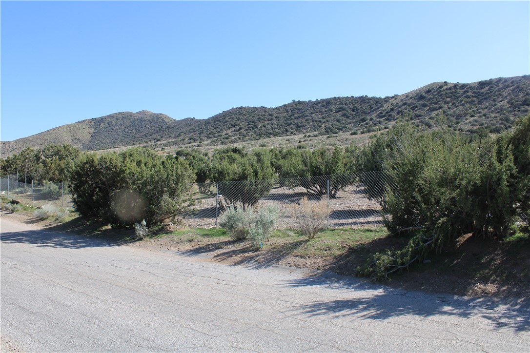 Custom Acton (CACTO) - Land