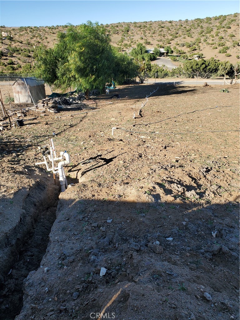 Custom Acton (CACTO) - Land