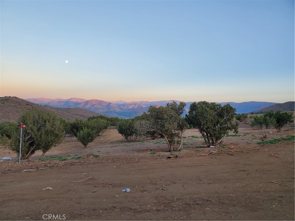 Custom Acton (CACTO) - Land