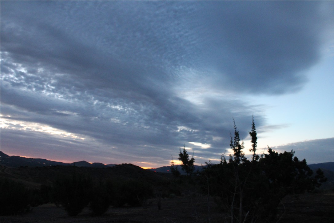 Custom Acton (CACTO) - Land