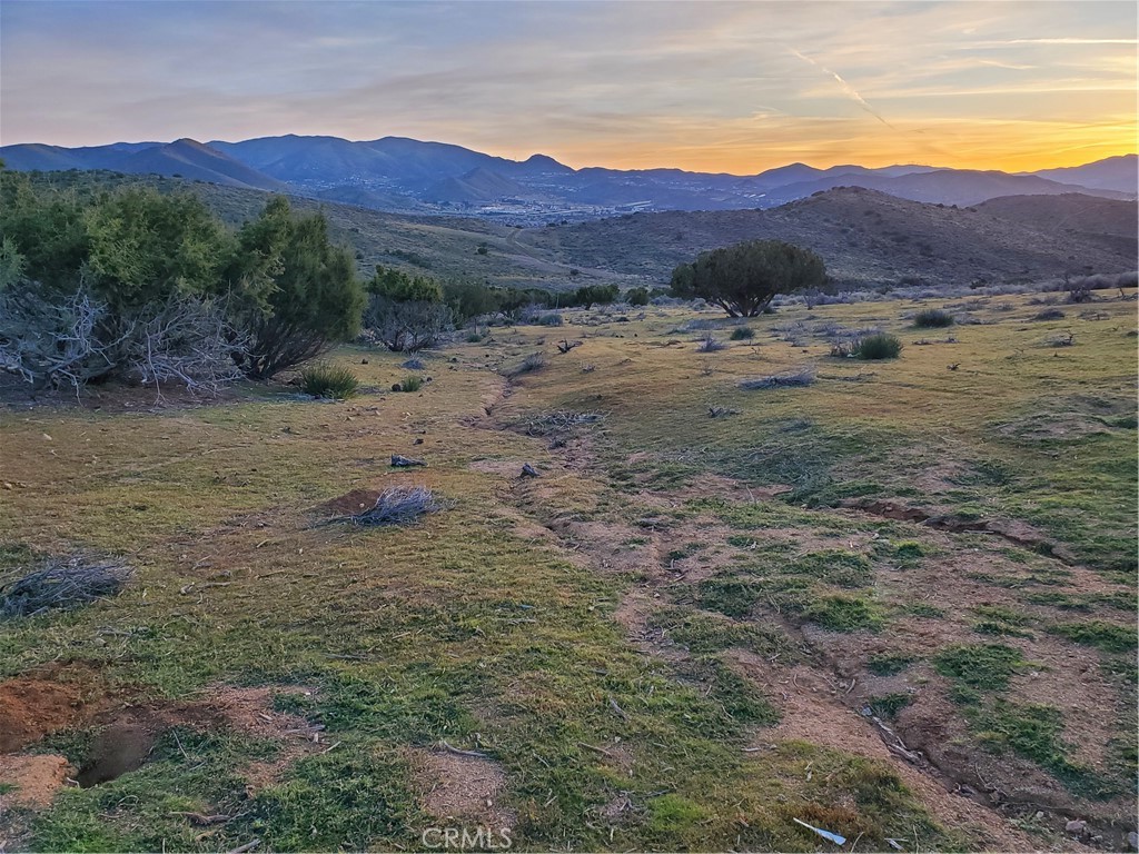 Are you seeking a more self sustaining life style? Check out this amazing lot located just about 1 mile west from Escondido Canyon Rd on Hubbard through a neighborhood of existing and developing small ranch style properties. A custom designed entry gate to this 5.18 acre site is located on a paved county maintained road. Located at the top of this gently sloping site are three 3,000 gallon water tanks that currently hold water that is disbursed through an irrigation system that meets the current agricultural needs of the site. The property has been witched. A marker has been placed where the potential site has been identified. The mountain views are captivating. The view at sunrise is captivating. A survey map has been drawn. With the LCA21 zoning there may be potential income producing opportunities to explore.
Buyer to verify list of possible uses with the County of Los Angeles.Broker- Listing broker does not guarantee the accuracy of the square footage, lot size or other information concerning the conditions or features of the property provided by the seller or obtained from Public Records or other sources. Buyer is advised to independently verify the accuracy of all information through personal inspection and with appropriate professionals to confirm square footage.