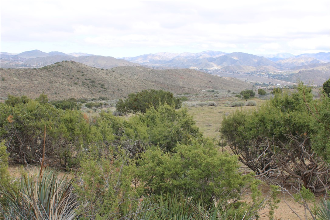 Custom Acton (CACTO) - Land