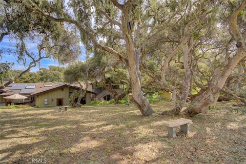 Tiny photo for 1785 Martingale Ave. Avenue, Los Osos, CA 93402 (MLS # SC26044817)