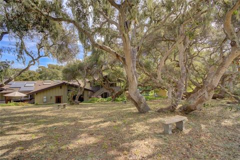 Tiny photo for 1785 Martingale Ave. Avenue, Los Osos, CA 93402 (MLS # SC26044817)