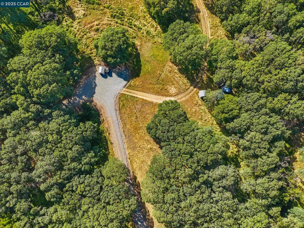 1950 Curry Canyon Rd