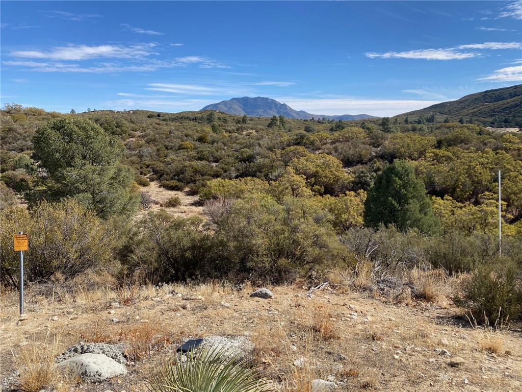 Indian Hill - Residential