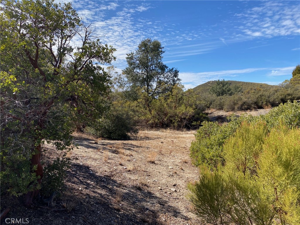 Indian Hill - Residential