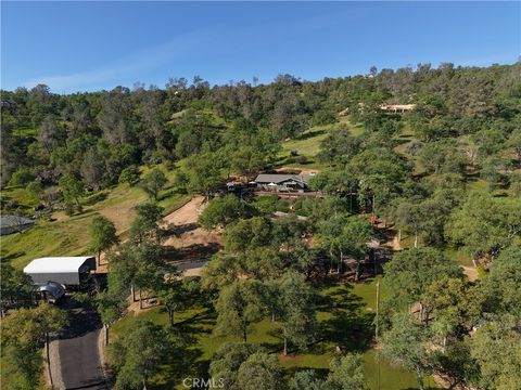 29890 Horseshoe Drive Coarsegold CA 93614