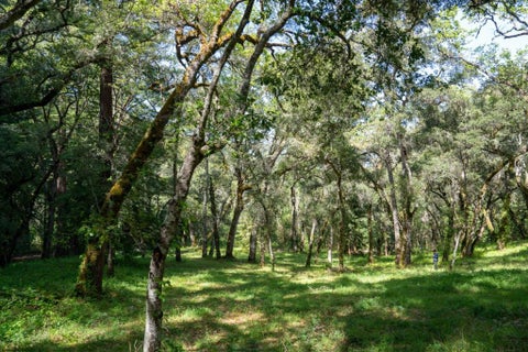 Photo of 35000 Robinson Canyon Road, Carmel Valley, CA 93923 (MLS # ML82056423)