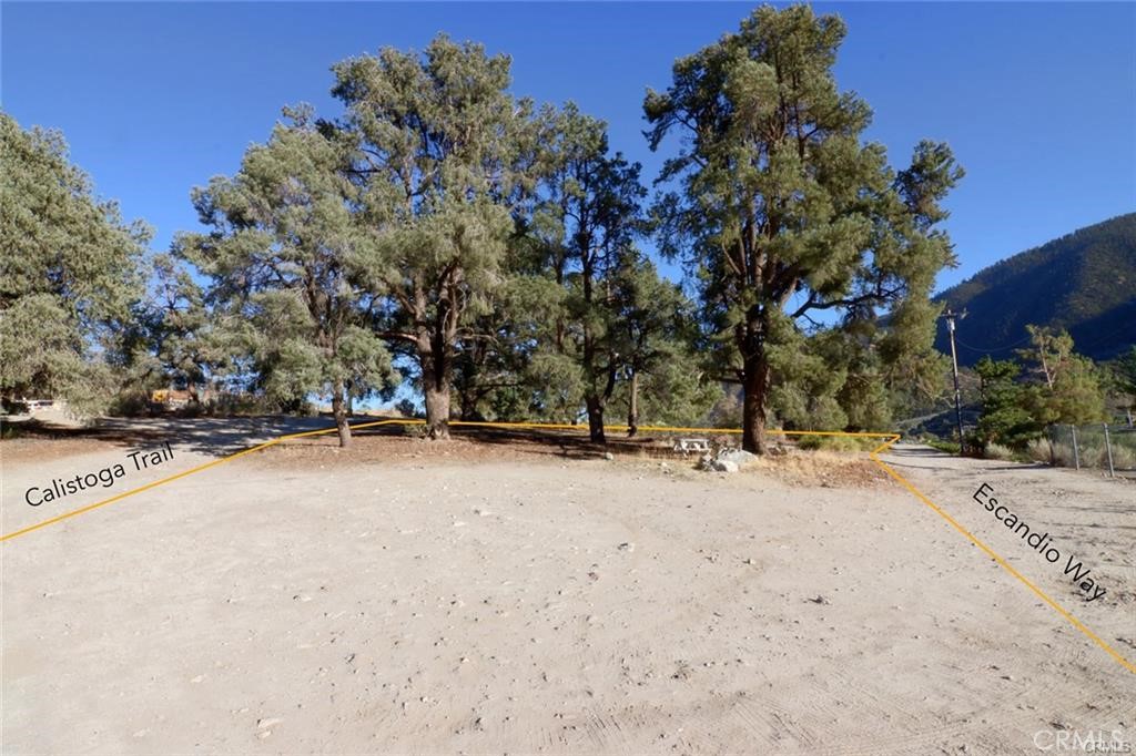 This nearly 1 acre flat and mostly level commercial parcel is brimming with potential and surrounded by the beauty of mature pine trees. Located in the center of downtown Frazier Park, this rare offering is ideal for a variety of development opportunities - from an assisted living facility to multi-unit housing or commercial ventures. Enjoy unbeatable walkability to local amenities including Ace Hardware, grocery store, five restaurants, a bank, laundry facilities, all just steps away. Looking for more space? Ask about the adjacent 17 lots on Santa Clara, available for purchase at an additional price. A perfect solution for expanded parking or future development. Seller is open to financing options, including seller carry with competitive current interest rates. Land loans are also available. Buyer to verify all information including lot size, intended use, and availability of utilities. Boundary lines shown in photos are approximate and not based on a formal survey.