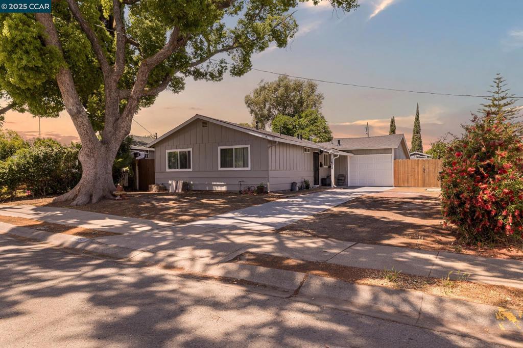 Step into this charming 3-bedroom, 1-bath gem located in the heart of Pittsburg, where convenience meets comfort. Just a short stroll from the high school and the vibrant downtown area, you'l have easy access to delightful restaurants and the freeway entrance, making commuting a breeze! This offers a cozy living space but also features the added convenience of RV access and a spacious backyard with potential for an Accessory Dweling Unit (ADU). Imagine the possibilities for outdoor entertaining, gardening, or even creating your own personal retreat! Don’t let this fantastic opportunity slip away—schedule your visit today and take the first step towards making this charming property your home!