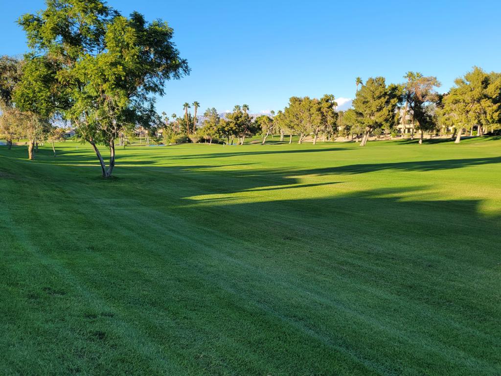 Desert Princess - Residential Lease