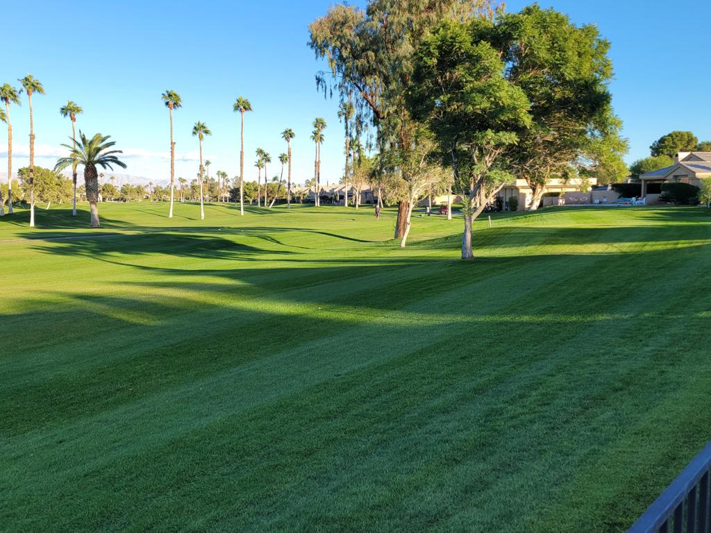 Desert Princess - Residential Lease