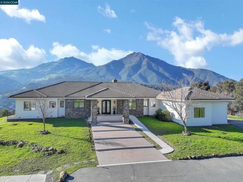 Photo of 420 Leon Ct, Clayton, CA 94517 (MLS # 41119794)