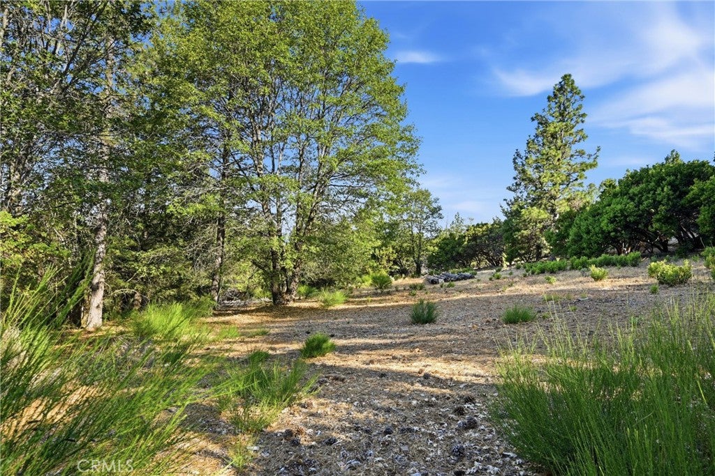 9003 Fox Drive