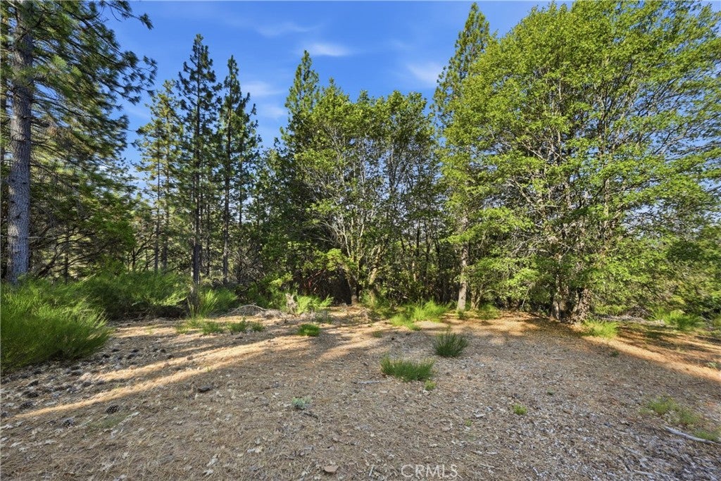 9003 Fox Drive
