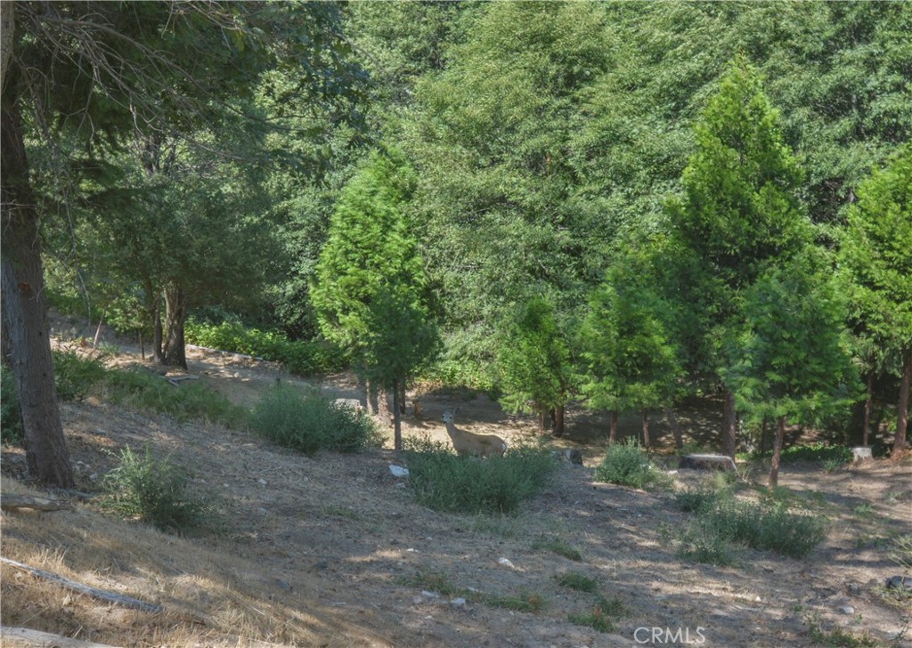 169 Alder Lane