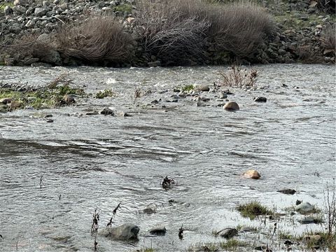 Photo of 3224 Silver Bush Place, Catheys Valley, CA 95306 (MLS # MP26001413)