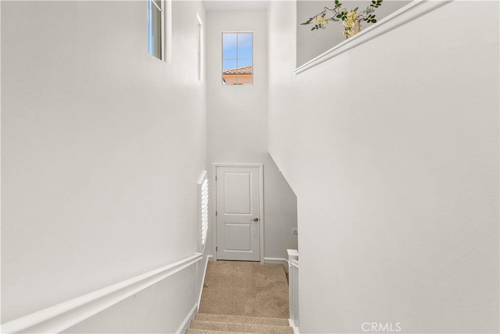 53 Cherry Tree, Irvine CA 92620 - Photo 24