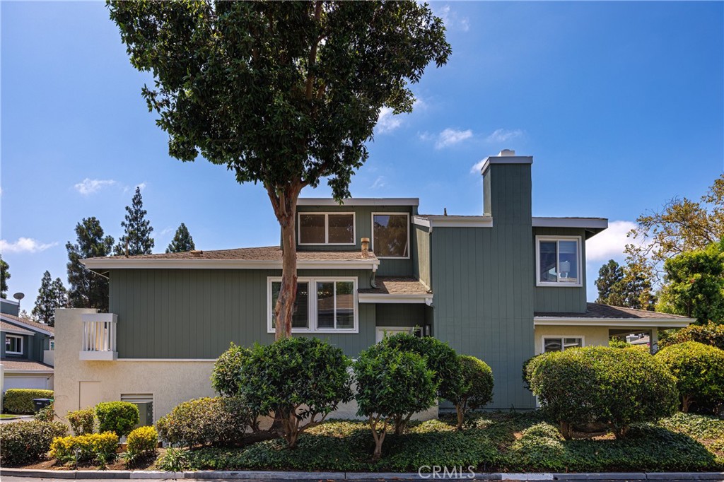 3447 Meadow 73