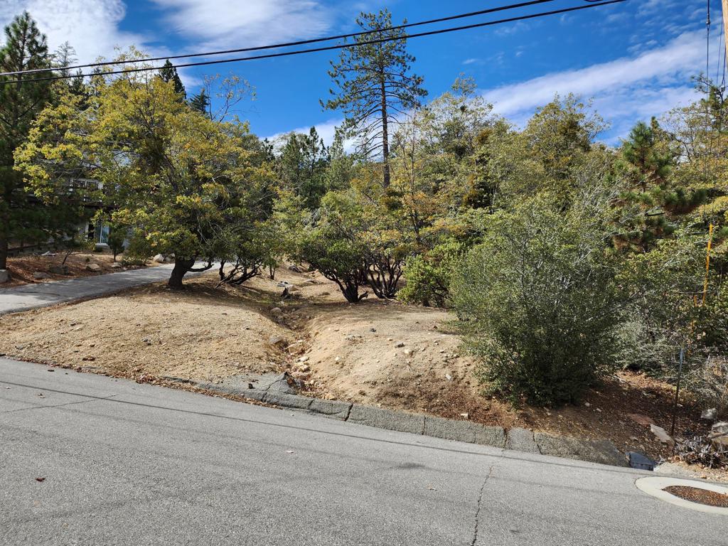 1356 Portillo Lane