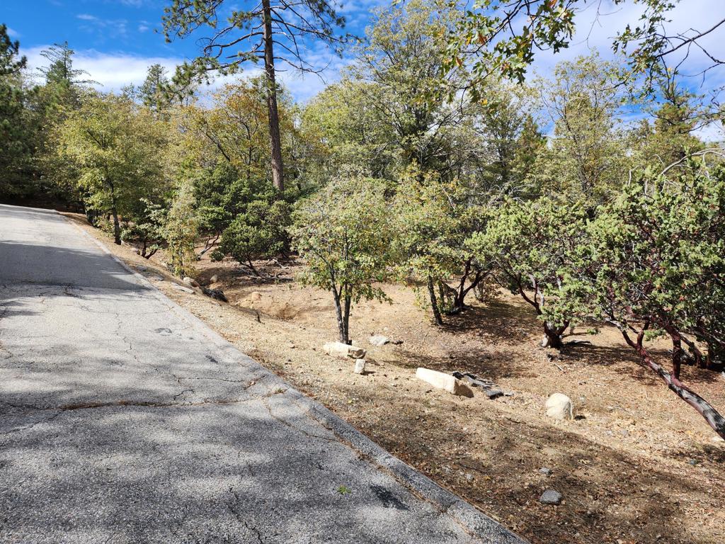 1356 Portillo Lane