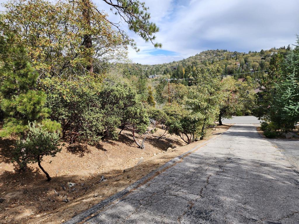 1356 Portillo Lane